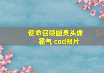 使命召唤幽灵头像霸气 cod图片